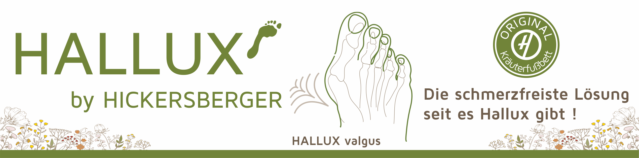 Hallux Banner