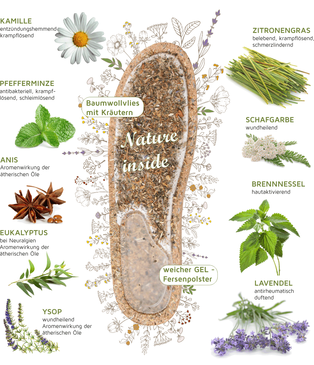 Kräuter Fit Aufbau und Kräuter